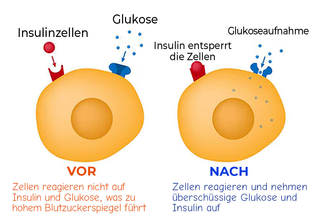 Futusly™ Blutzuckerregulation - medizinisches Gesundheitsarmband Plus