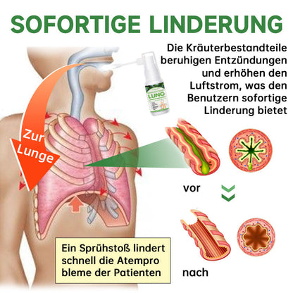 Ourlyard™ Kräuterlungenreinigungs- und Reparaturspray Plus