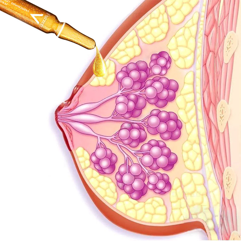 Furzero™ Brustvergrößerungs & Straffungs Ampullen Serum